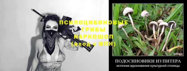 гидропоника Бородино