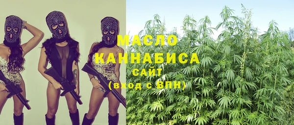 гидропоника Бородино