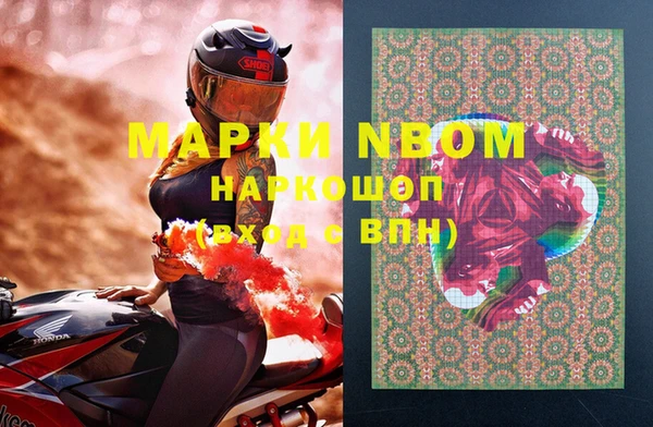 гидропоника Бородино