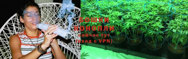 крисы Богородск