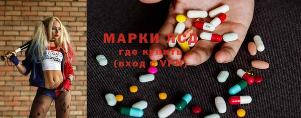 гидропоника Бородино