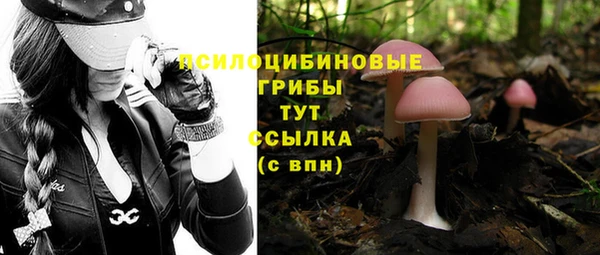 мет Бугульма