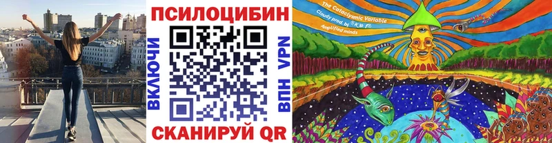 Псилоцибиновые грибы мухоморы  Купить где  Наро-Фоминск 